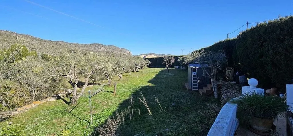 garden