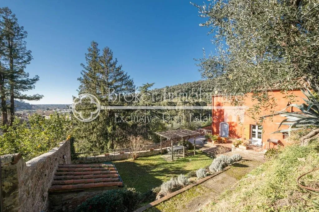Garden - Rustic Villa with Olive Grove in Massarosa