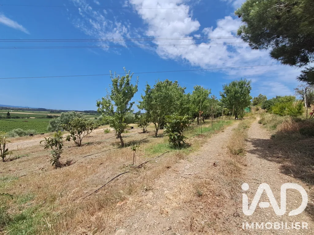 Jardin - Terrain Agricole avec Verger à Azille