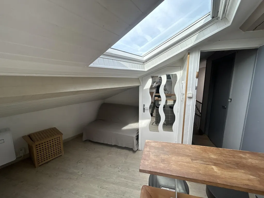 Toad - Mansarded Studio with Skylights in Delille