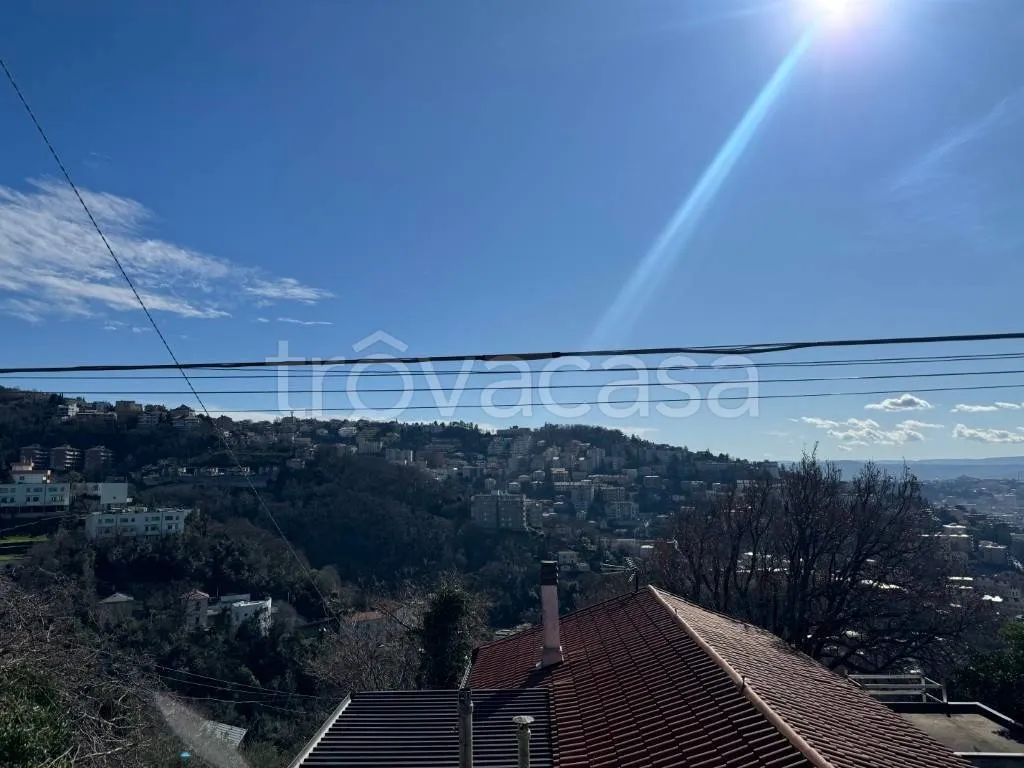 New Villa with Sea View in Trieste