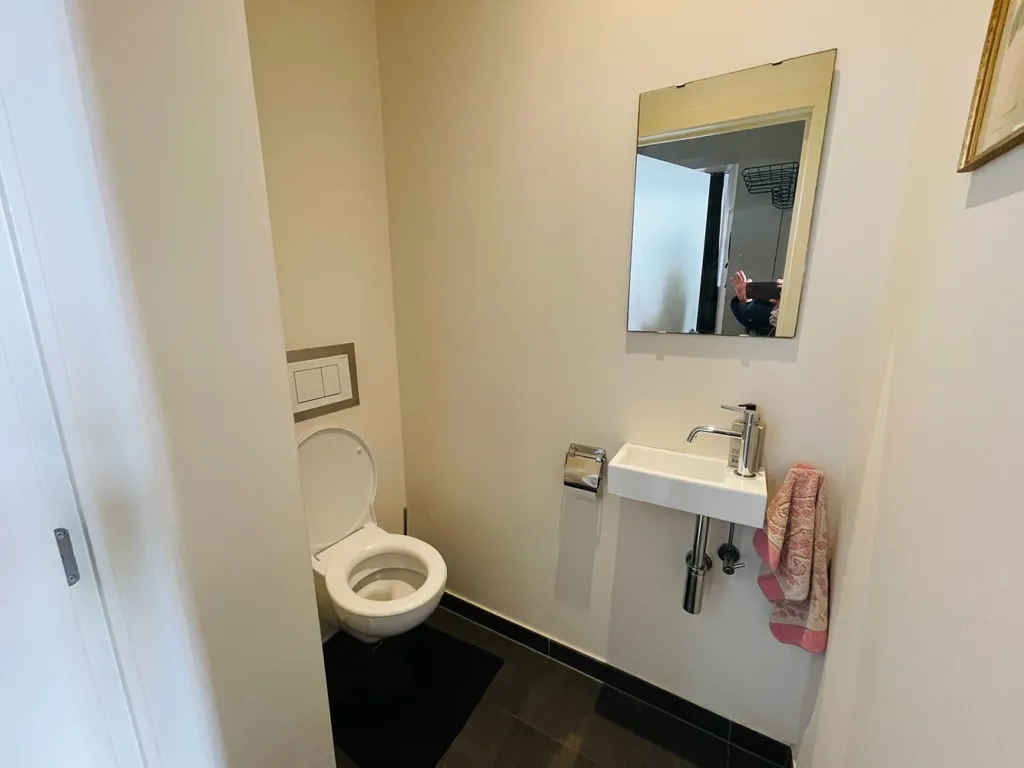 Vannitoad - Renovated Corner House with Unique View in Bruges