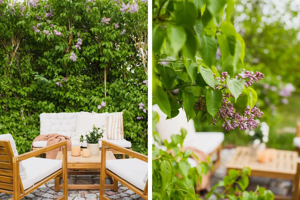 Terrass - Villa with Renovation Potential in Lilla Beddinge