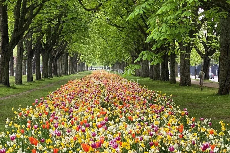 Aed - 2-Bedroom Flat with Terrace in Val Duchesse