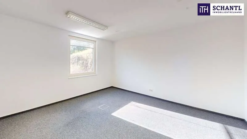 Toad - Commercial Space with A9 Access in Graz-Straßgang