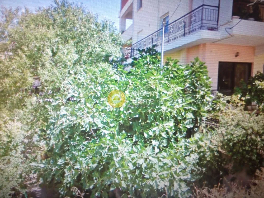 Exterior - Detached Villa with Garden in Glyfada