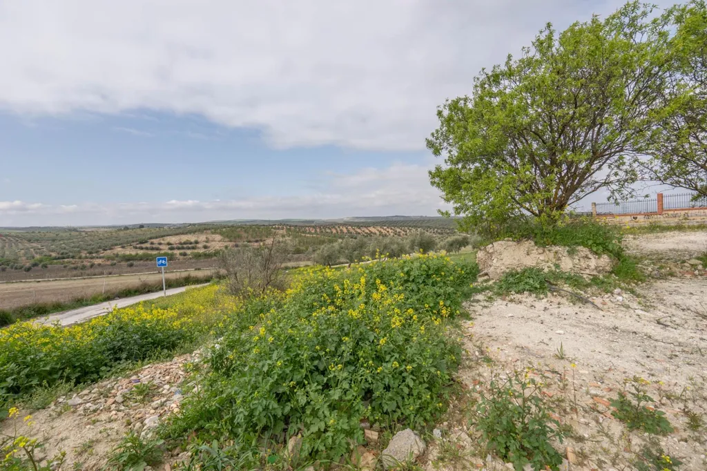 Giardino - Modern Villa with Pool in Cúllar-Vega