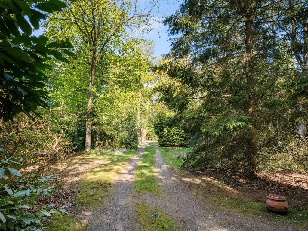 Välivaade - Charming House with Heide Access in Kalmthout