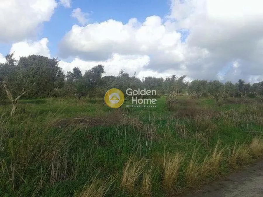 Jardin - Plot with Panoramic Sea View in Methoni