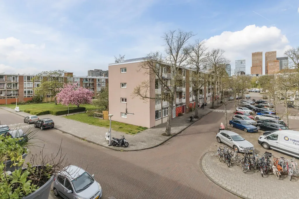 Välivaade - Portiekflat with Zuidas View in Amsterdam