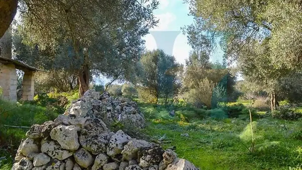 Jardin - Baglio-Style Property with Natural Views in Noto