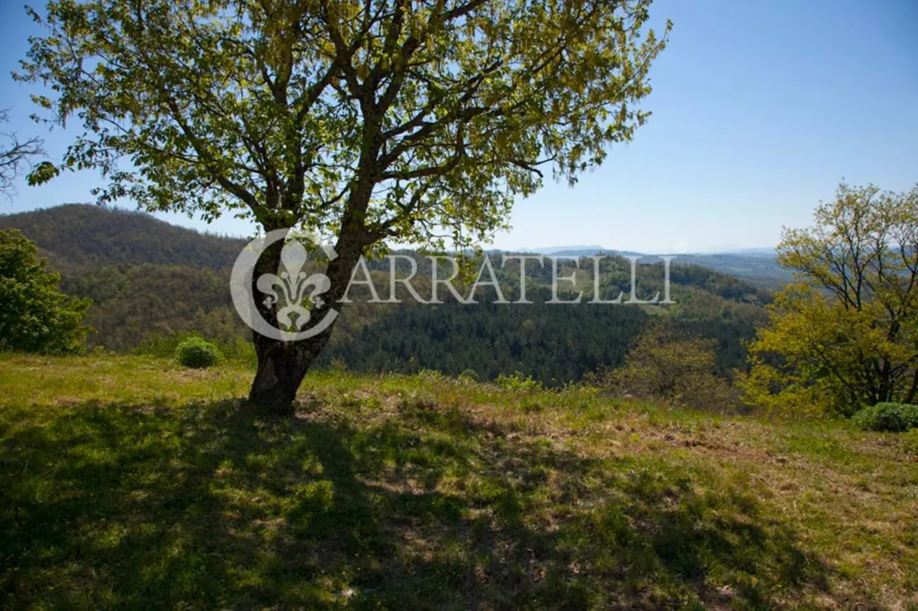 Aed - Luxury Farmhouse with Pool in Città di Castello