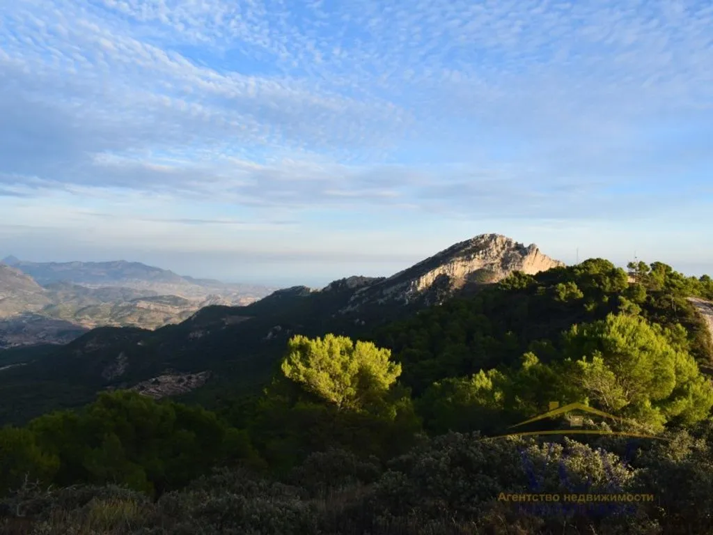 Rustic Estate with Hunting Grounds in Castalla