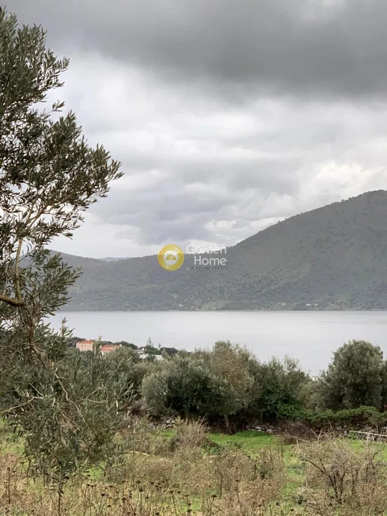 Aed - Panoramic Plot with Olive Trees in Almyropotamos