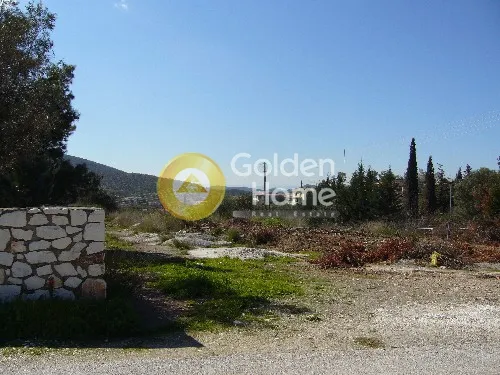 Aed - Agricultural Plot with Olive Trees in Korythio