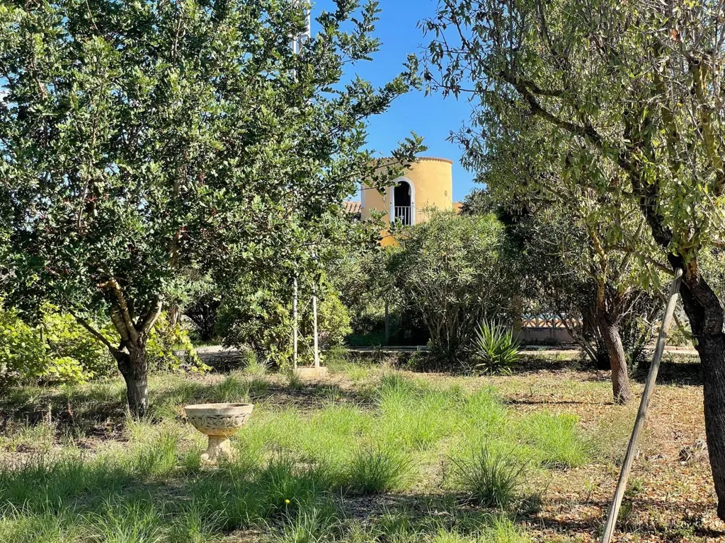 Garden - Country Home with Pool near Binissalem