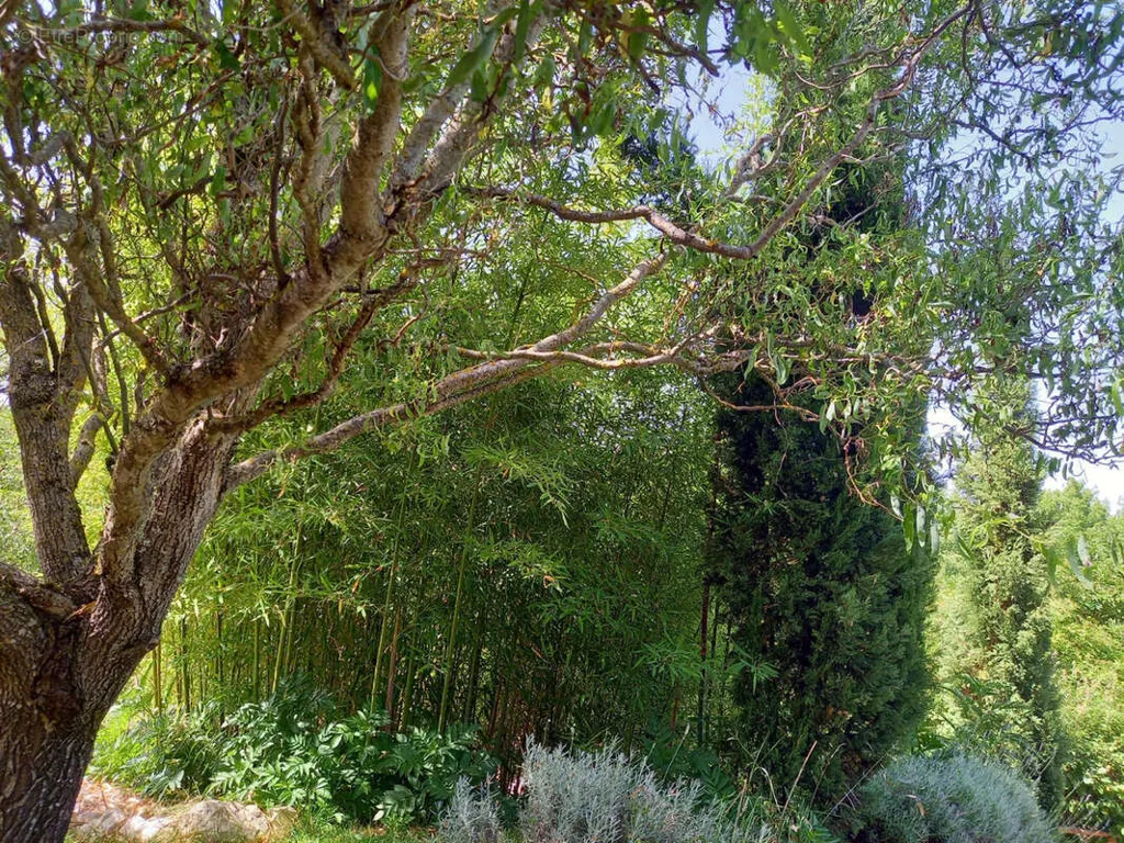 Jardin - Ensemble Immobilier Rénové avec Piscine près de Cahors