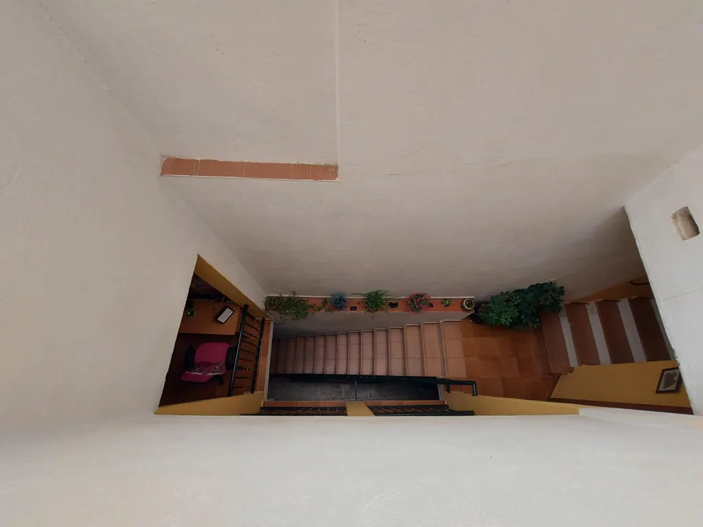 Toad - Charmful Chalet with Terrace in San Basilio