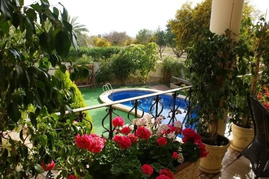 Bassein - Luxury Villa with Pool in Rojales