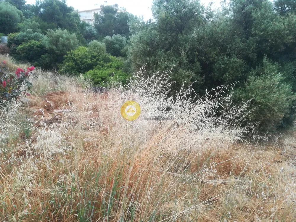 Jardin - Plot with Sea View in Sarandá, Eastern Attica