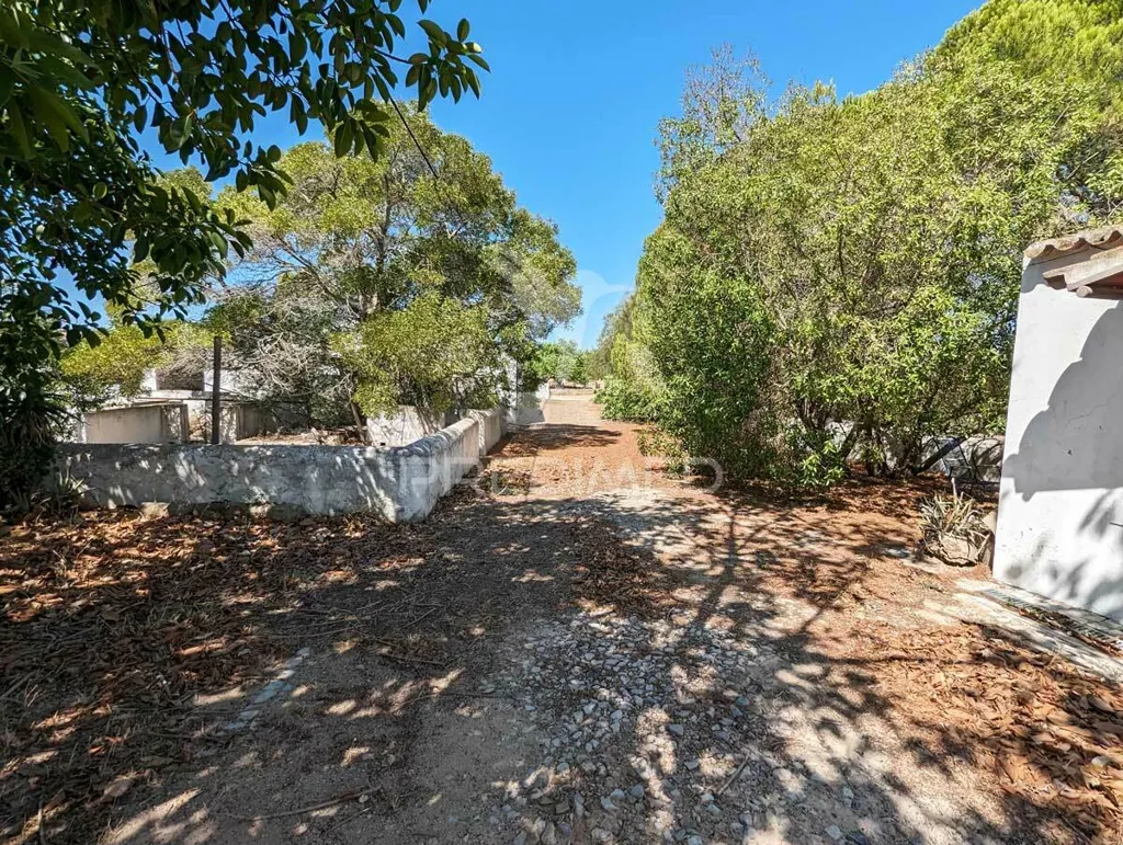 Extérieur - Herdade with Ruin in Castro Marim