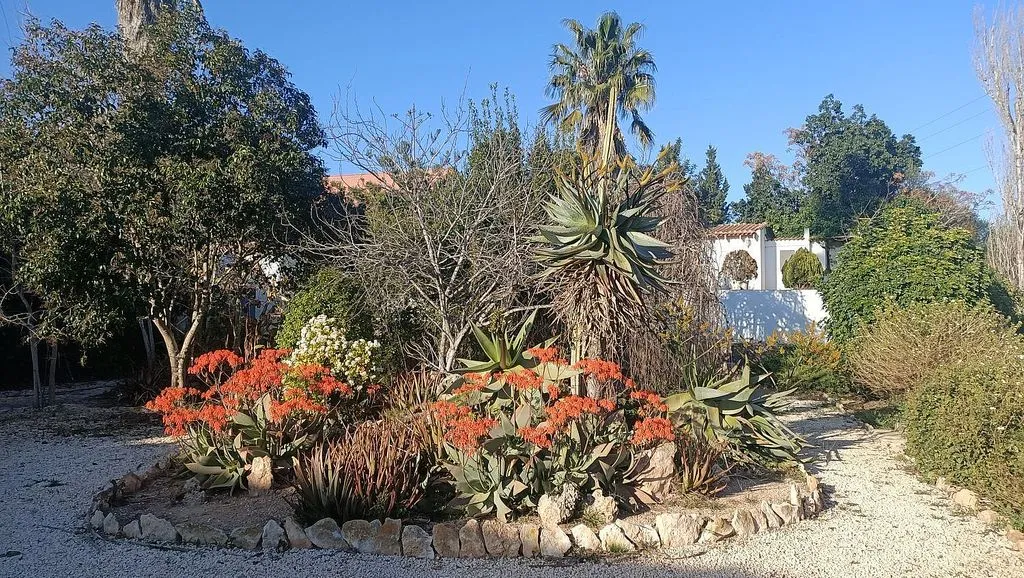 garden