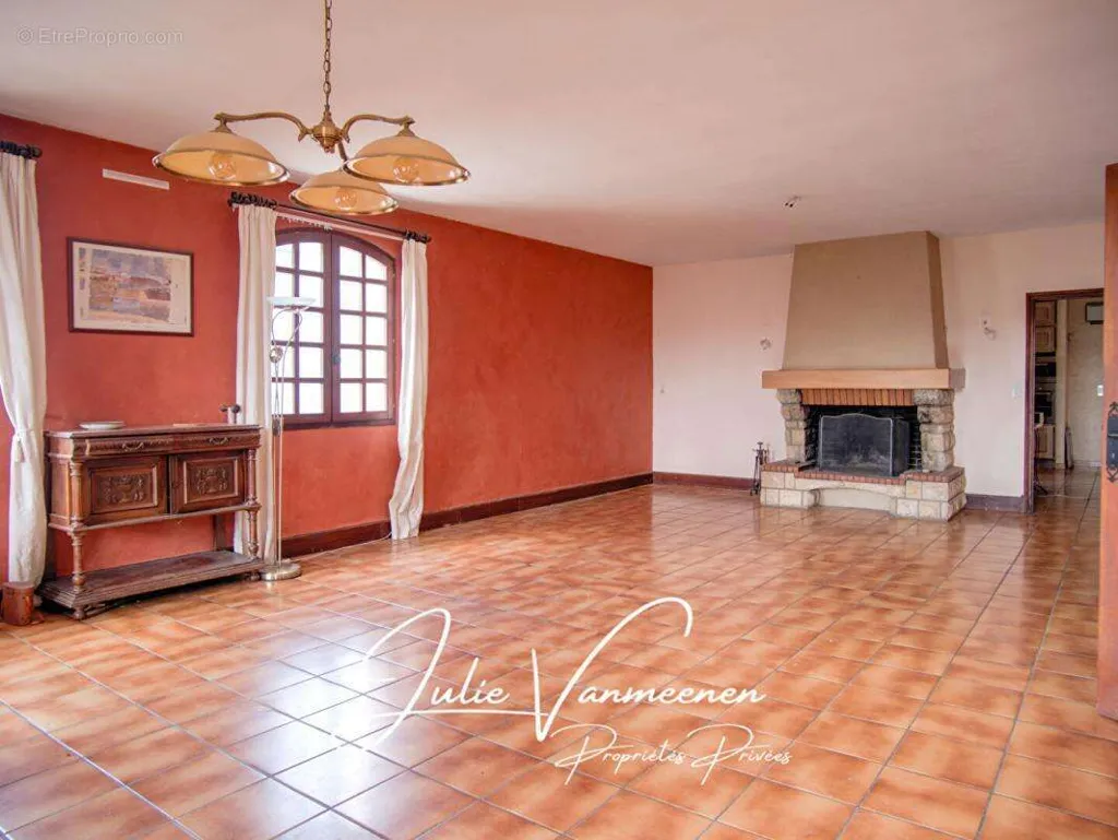 Séjour - Maison Spacieuse avec Terrasses à Colomiers