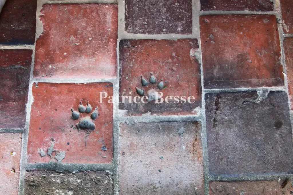 Pièces - Relais de Poste du 19e avec Jardin à l'Yonne