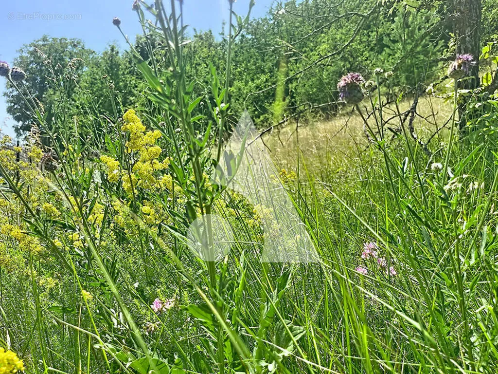 Aed - Constructible Plot with South View in La Freissinouse