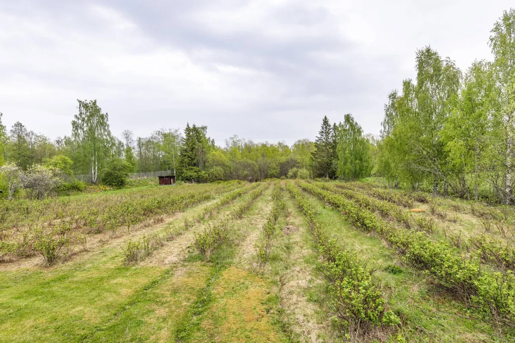 Aed - 1-Storey Villa with Garden in Lantlig Setting
