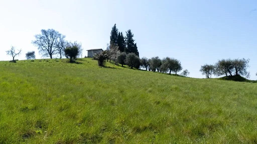 Garden - Rustic Property with Historic Convent in Fucecchio