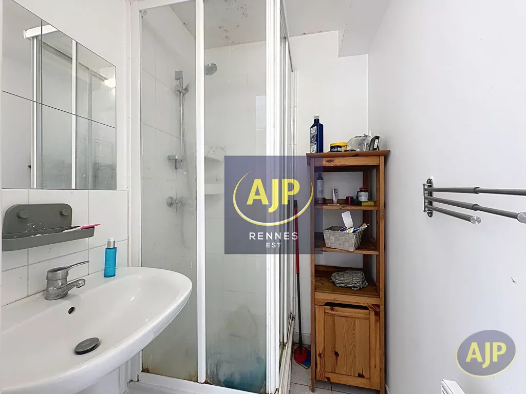 Bagni - Spacious Apartment with Terrace in Rennes