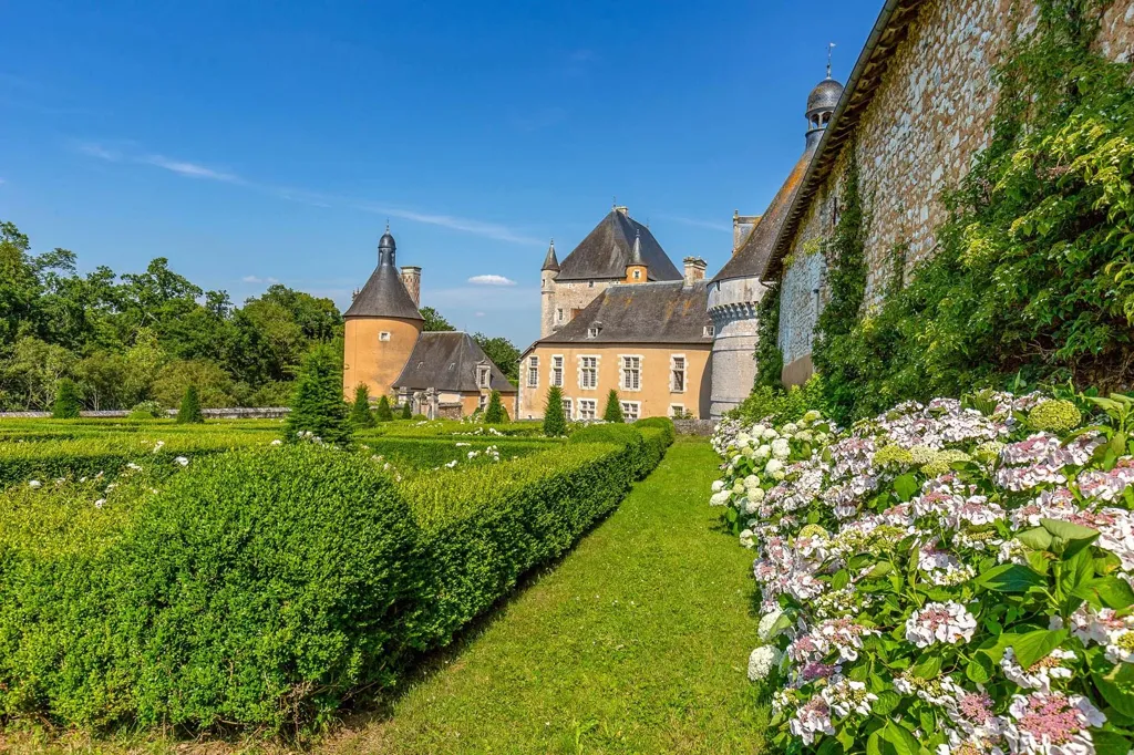 Aed - Medieval Château with River View near Poitiers