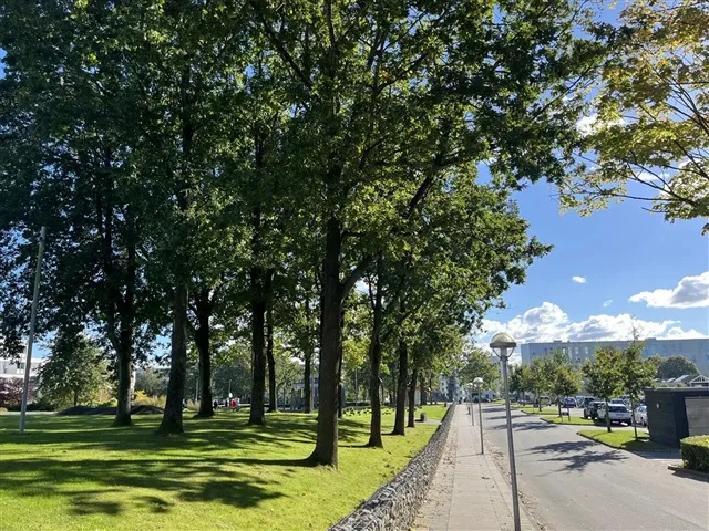 3-toaline korter asukohas Haderslev