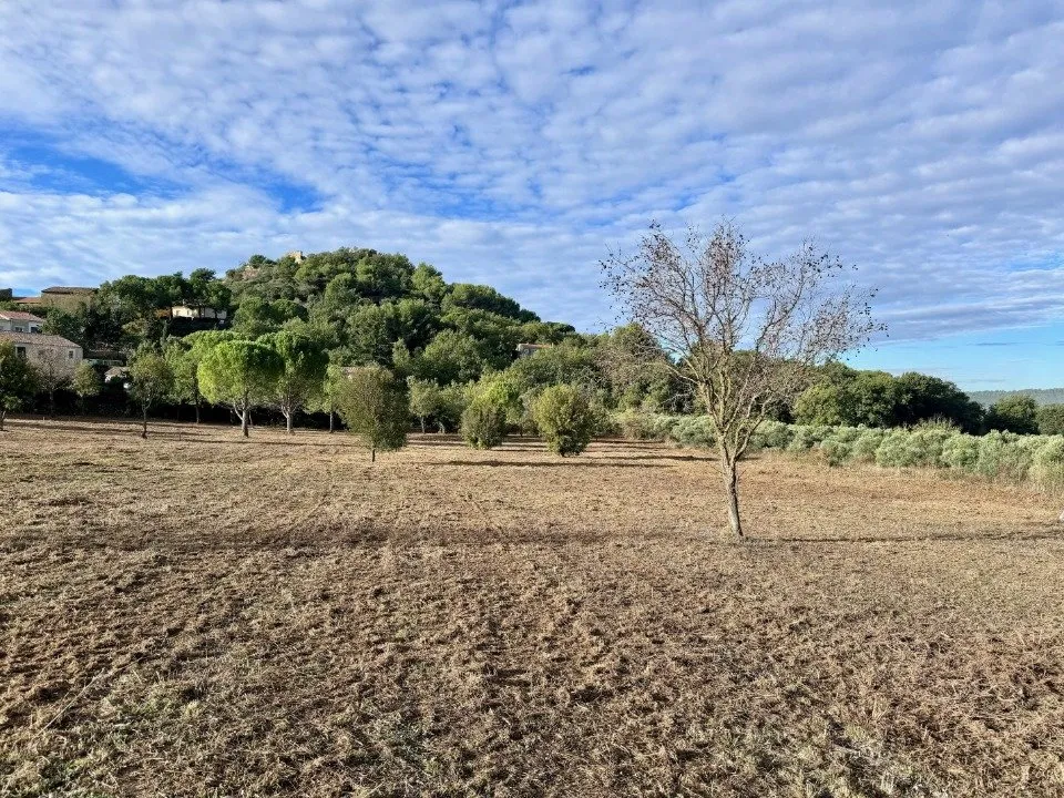 Jardin - Maison à Construire avec Jardin à Rognes