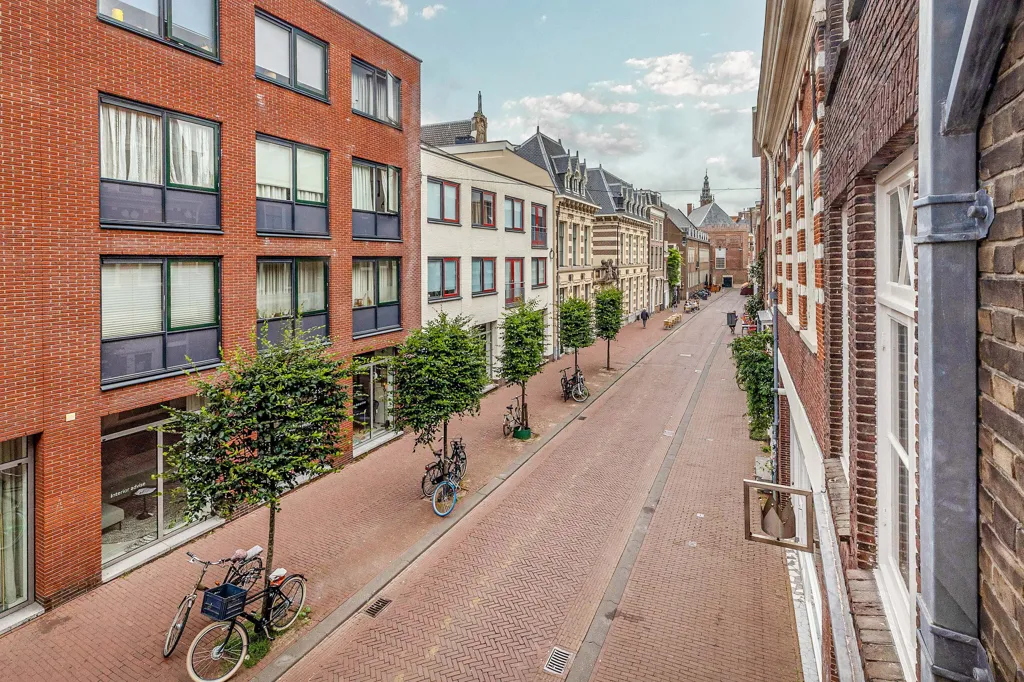 Välivaade - Student Flat with Rooftop Terrace in Haarlem