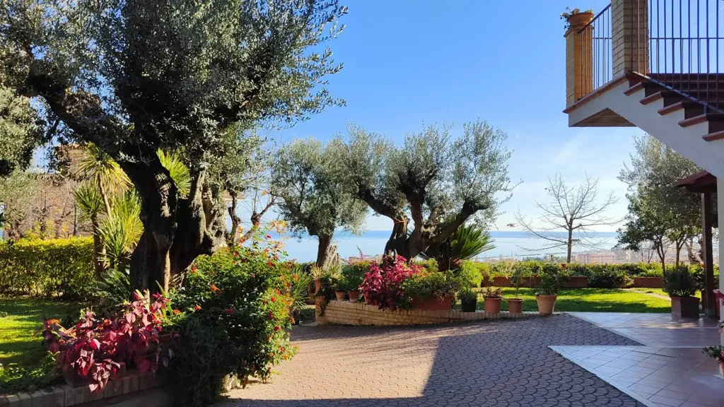 terrace_patio