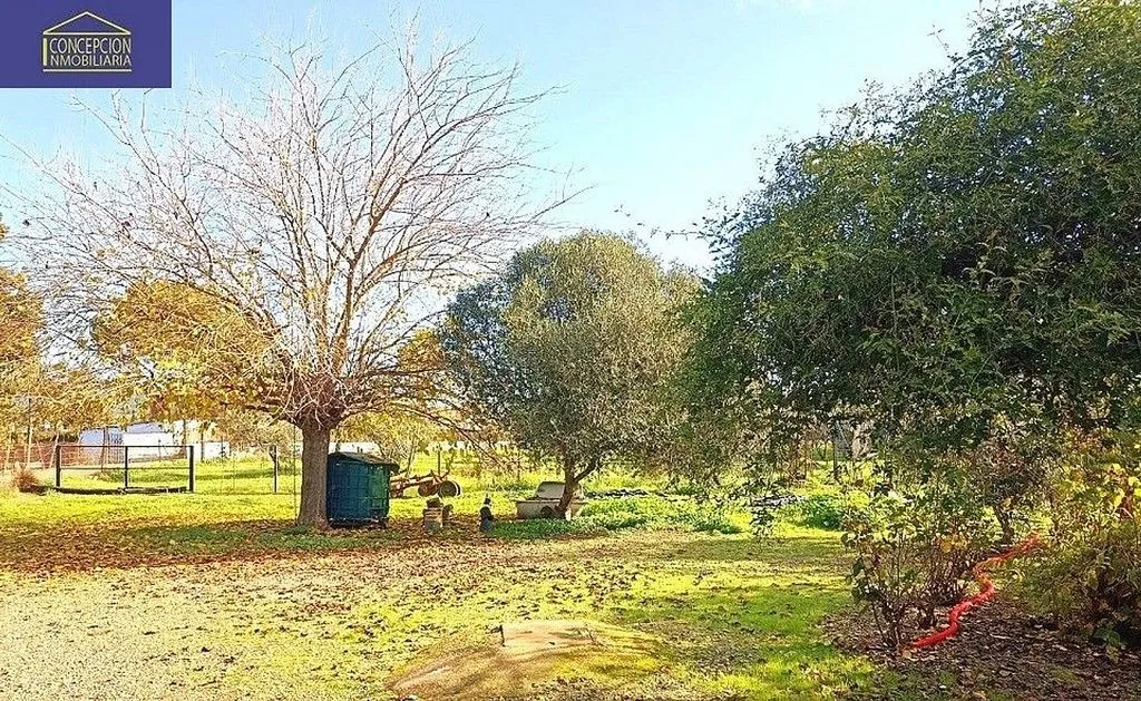 Giardino - Chalet with Pool in Alcolea