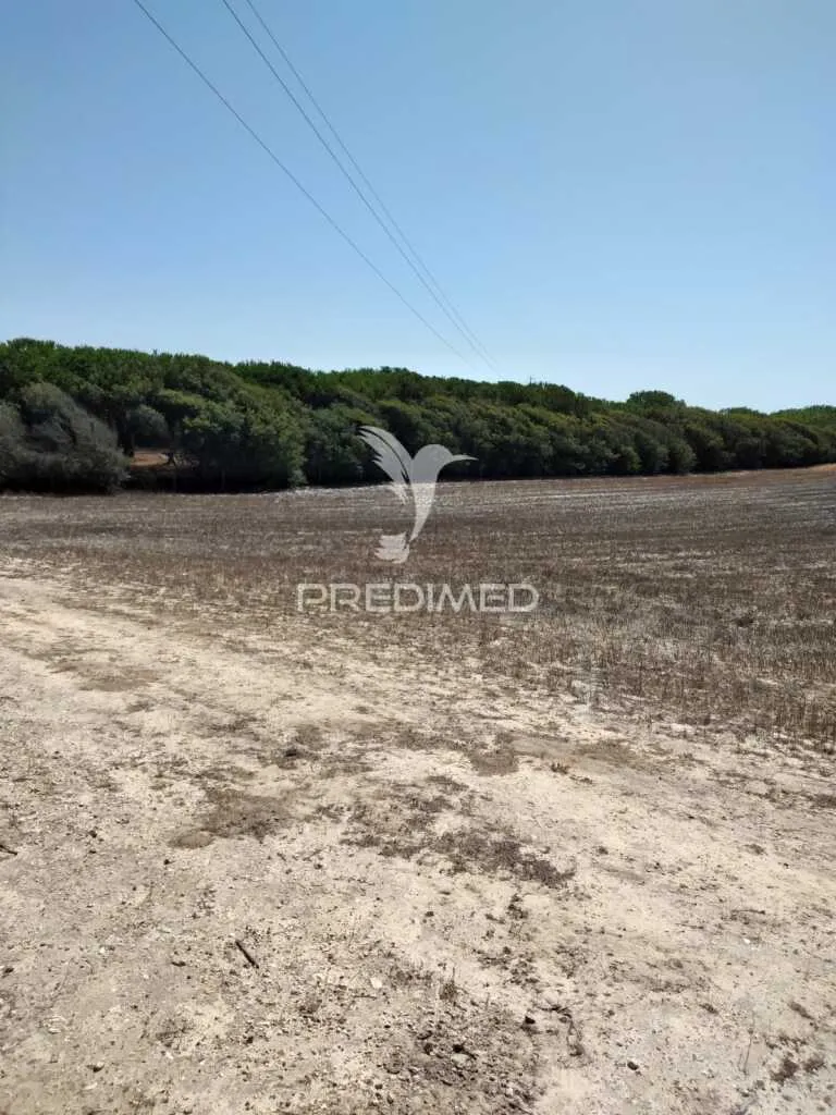 Jardin - Rustic Plot with Sea Access in Porto Côvo