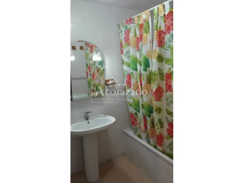 Salles de bain - Furnished Flat with Terrace near University
