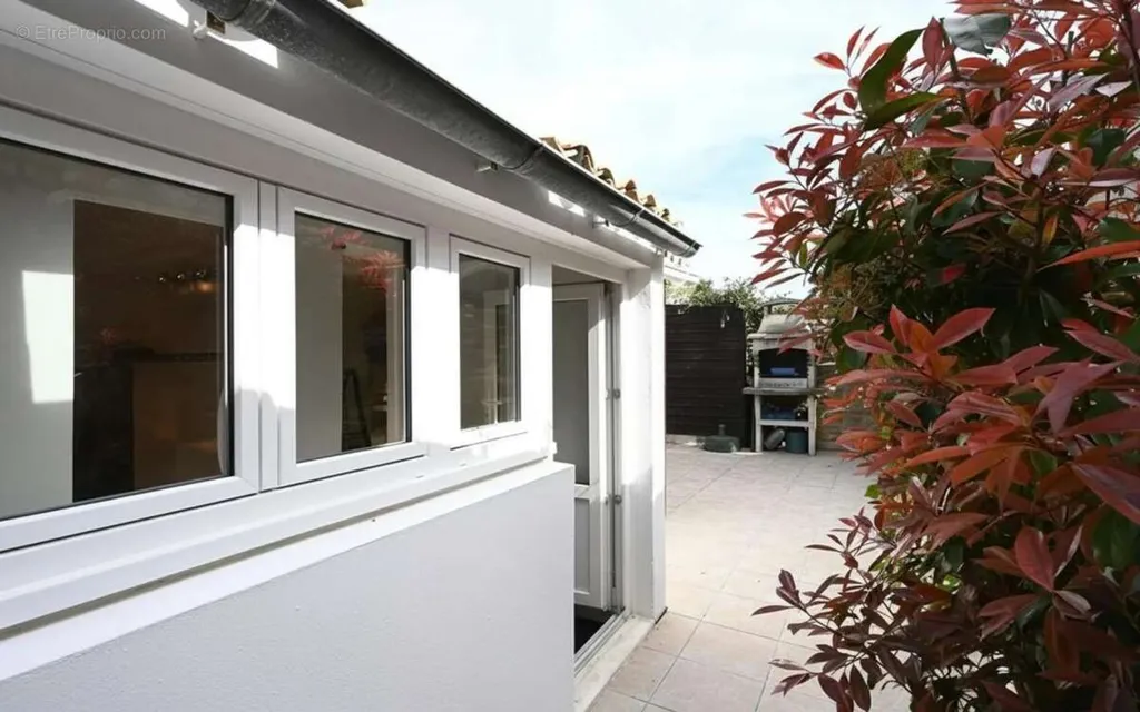 terrace_patio