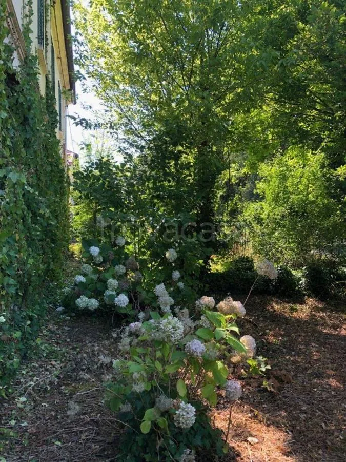 Aed - Independent House with Garden in Voghiera