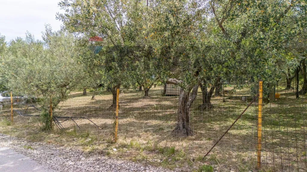 Jardin - Buildable Land with Sea View in Cupello