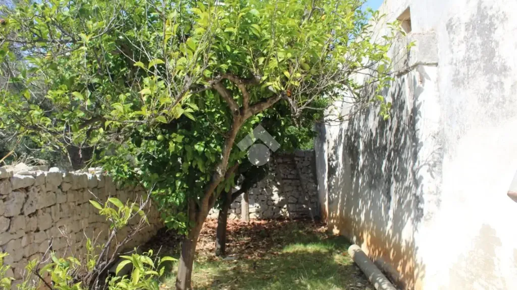Aed - Traditional House with Garden in Carovigno