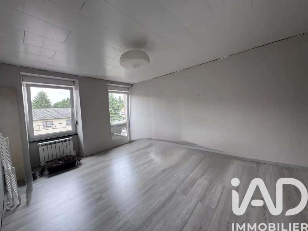 Toad - Villa with Workshop near German Border
