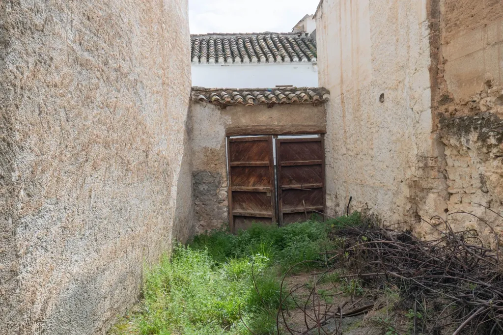 Jardin - Two-Storey House with Terrace in Albuñuelas