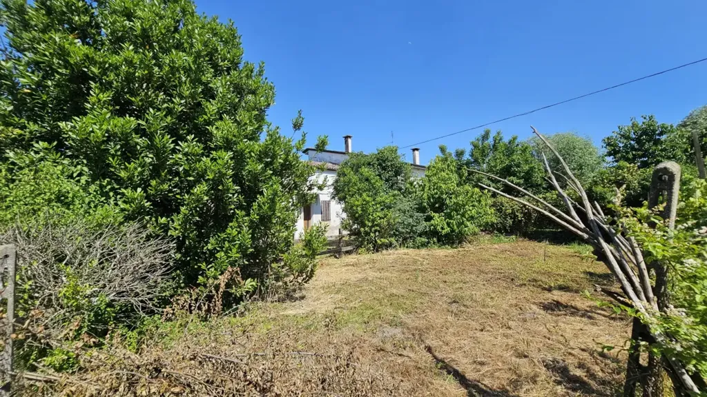 Aed - Rustic Property with Garden in Urbana