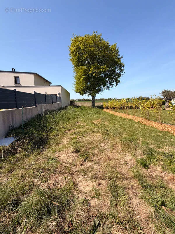 Aed - Constructible Plot with Garden in Saint-Alban