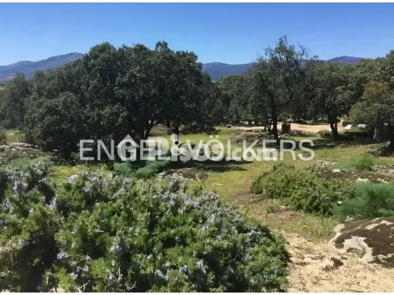 Aed - Rustic Villa with Pool in Guadarrama