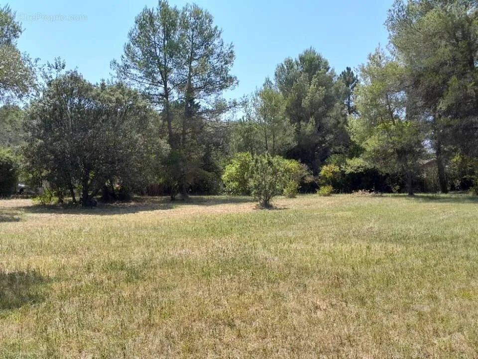 Aed - Plat Viabilised Plot with Olive View in Le Val